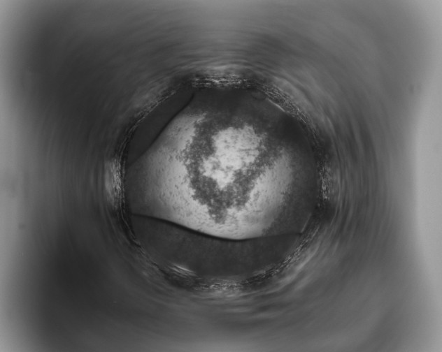 X0000094081298200710191414