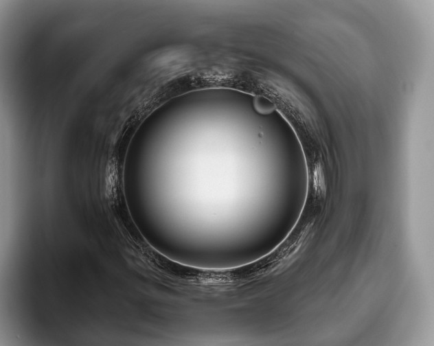 X0000094081299200710191414