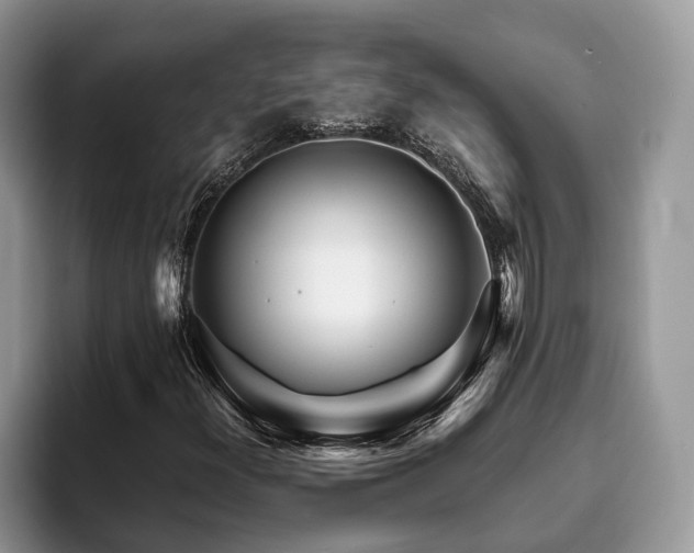 X0000094081300200710191414