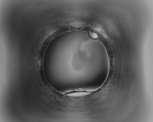 X0000094081302200710191414