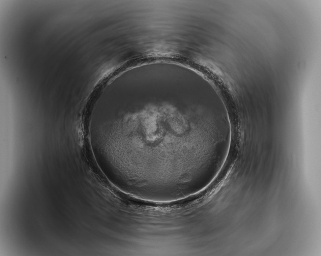 X0000094081306200710191414