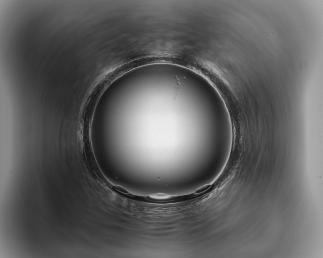 X0000094081307200710191414