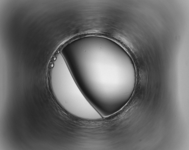 X0000094081308200710191414