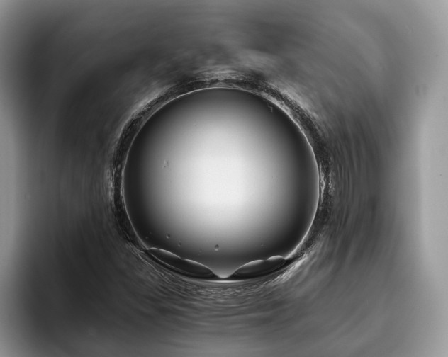 X0000094081309200710191414