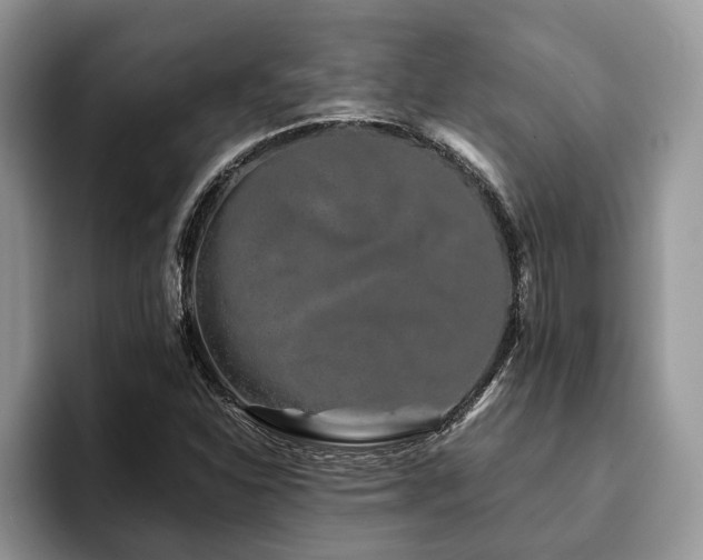 X0000094081310200710191414