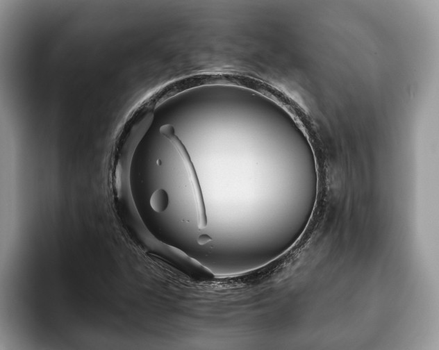 X0000094081311200710191414