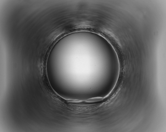 X0000094081313200710191414