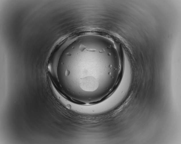 X0000094081314200710191414