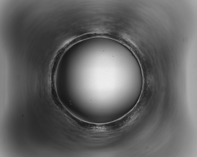 X0000094081315200710191414