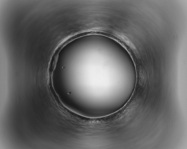 X0000094081316200710191414