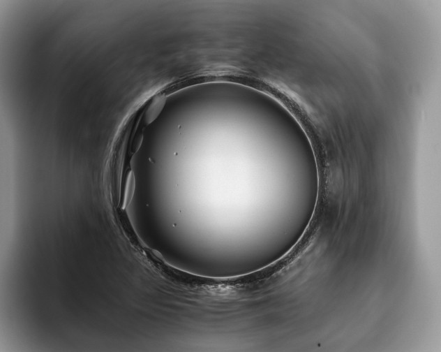 X0000094081317200710191414