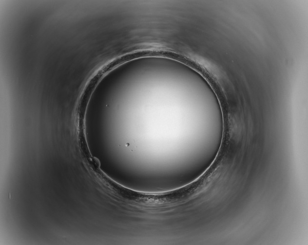 X0000094081318200710191414