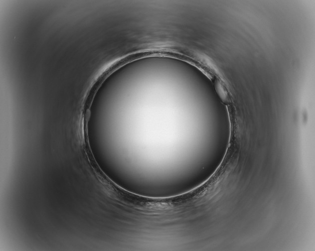 X0000094081320200710191414