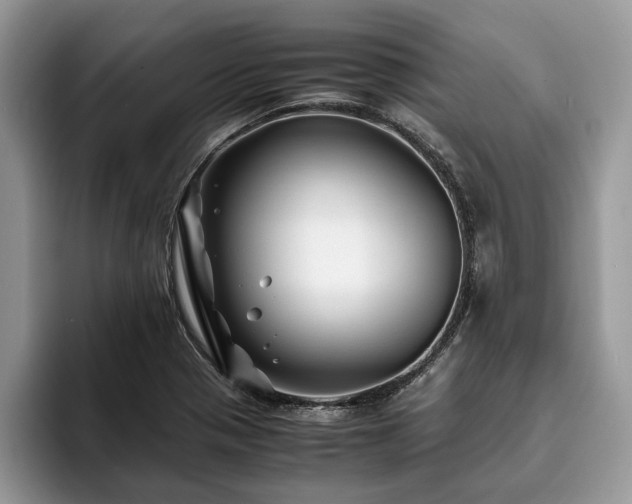 X0000094081321200710191414