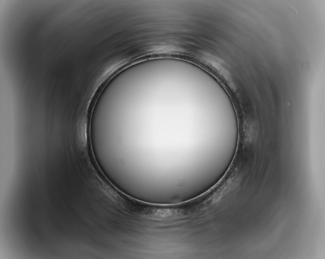 X0000094081322200710191414