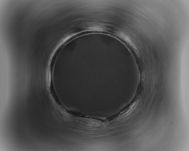 X0000094081323200710191414