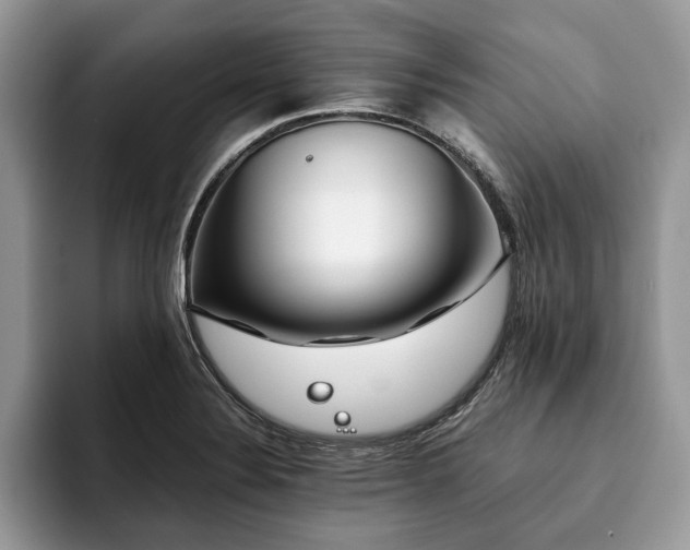 X0000094081324200710191414