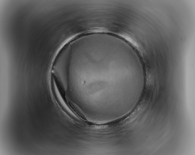 X0000094081325200710191414