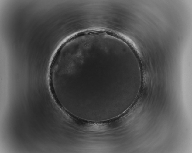 X0000094081327200710191414