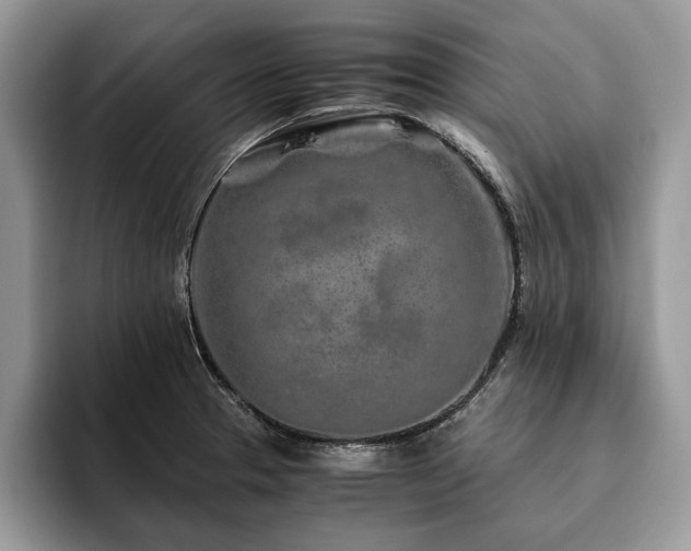 X0000094081329200710191414