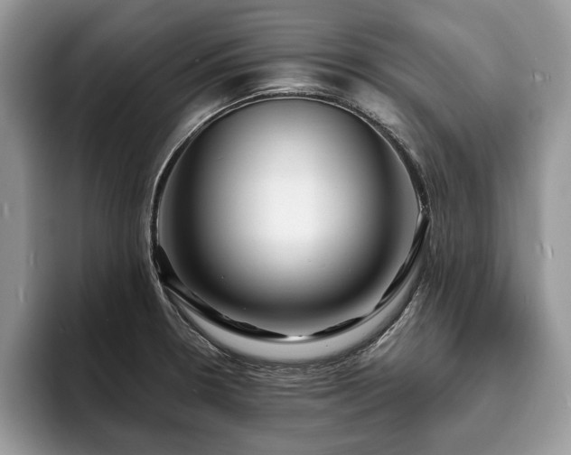 X0000094081330200710191414