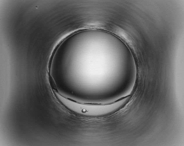 X0000094081336200710191414