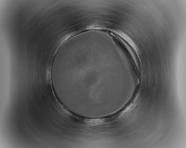 X0000094081337200710191414