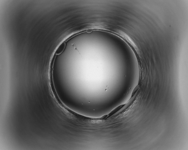 X0000094081339200710191414