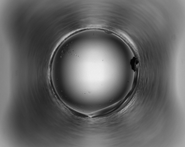 X0000094081340200710191414