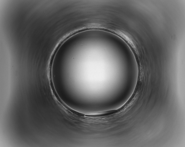 X0000094081342200710191414