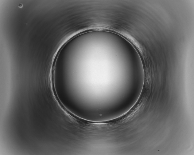 X0000094081343200710191414