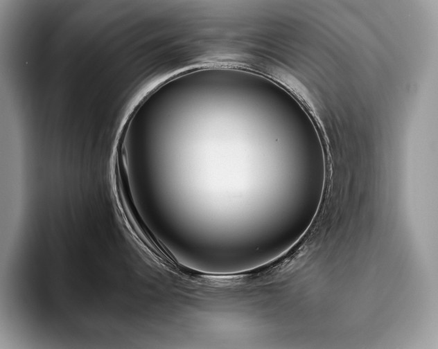 X0000094081344200710191414