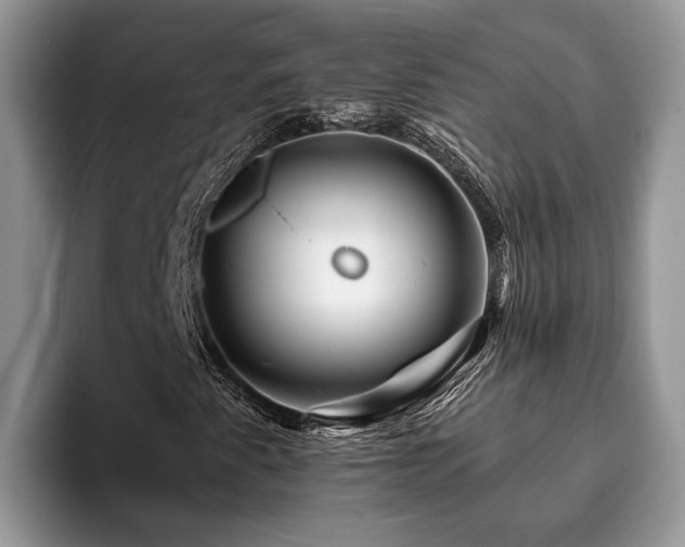 X0000094081345200710191414