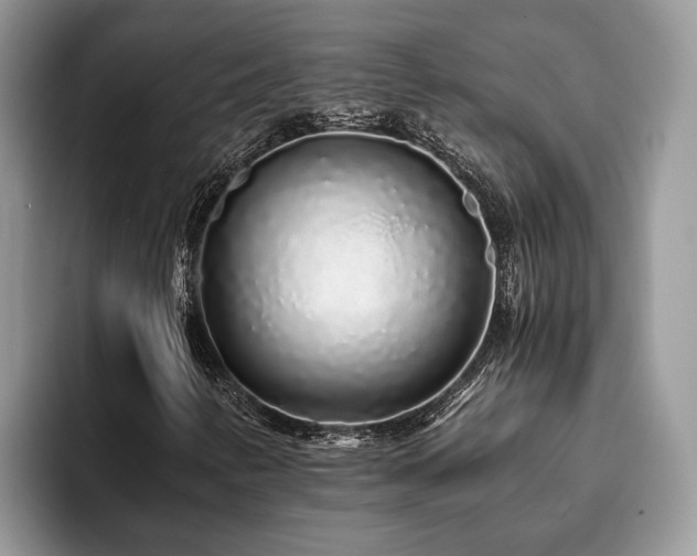 X0000094081346200710191414