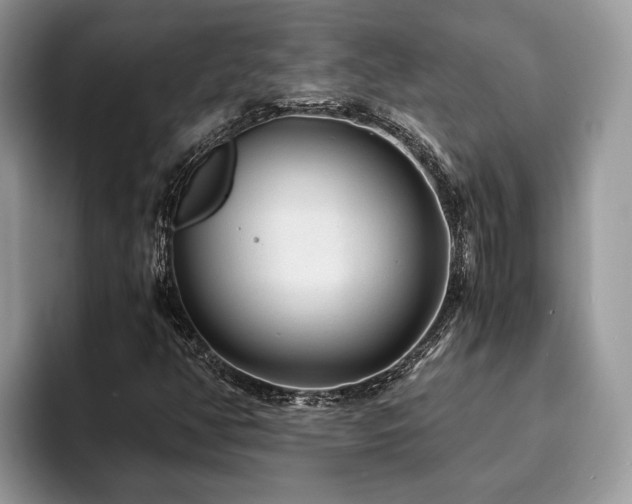 X0000094081350200710191414