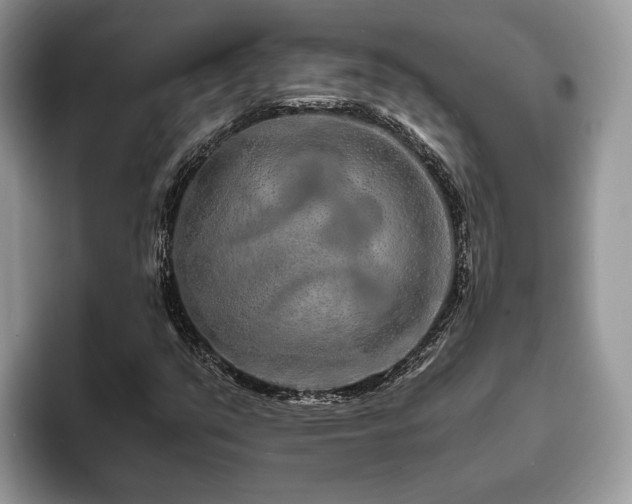 X0000094081351200710191414