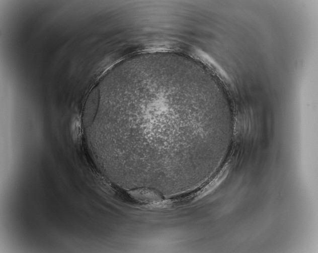 X0000094081353200710191414