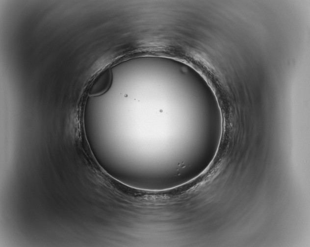 X0000094081354200710191414