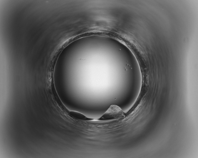 X0000094081355200710191414