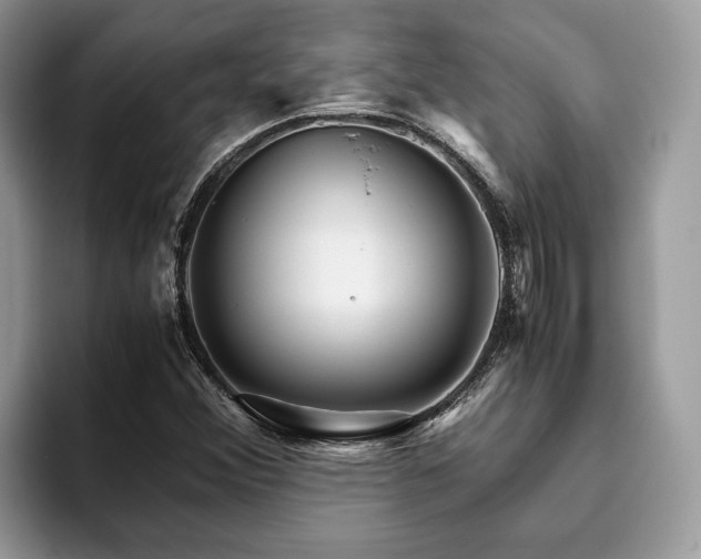 X0000094081356200710191414