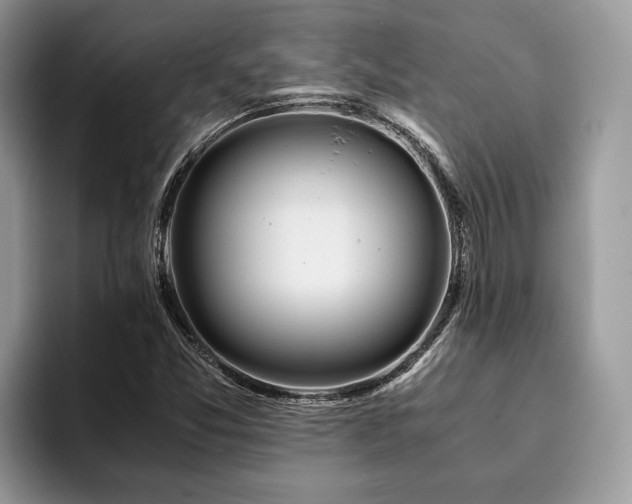 X0000094081357200710191414