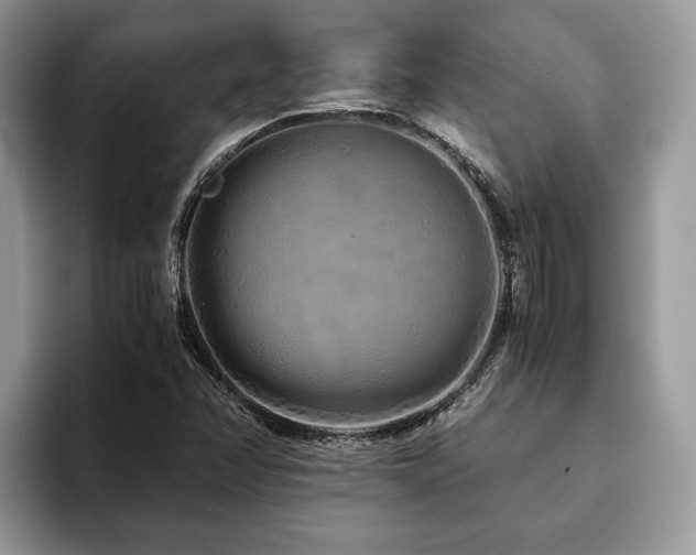 X0000094081358200710191414