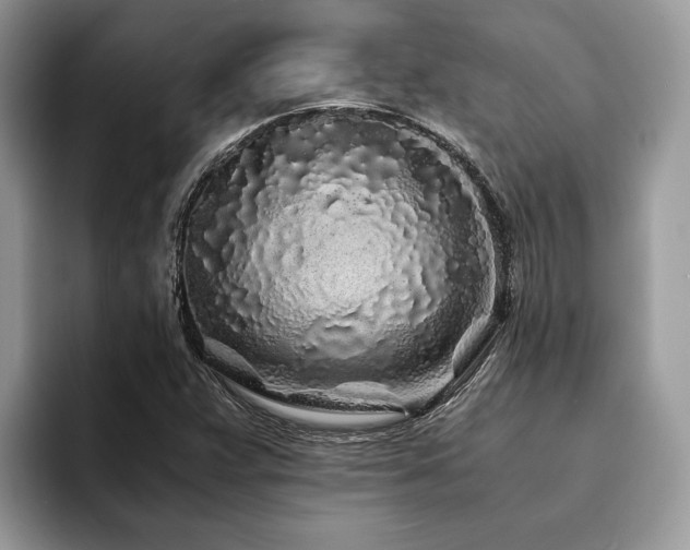 X0000094081359200710191414