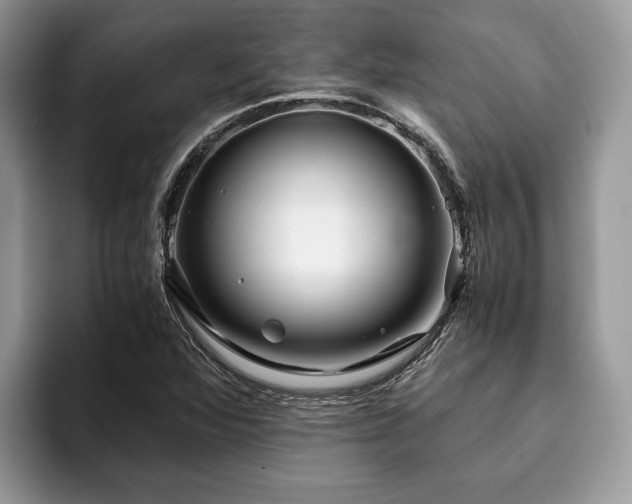 X0000094081360200710191414