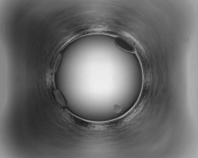 X0000094081361200710191414