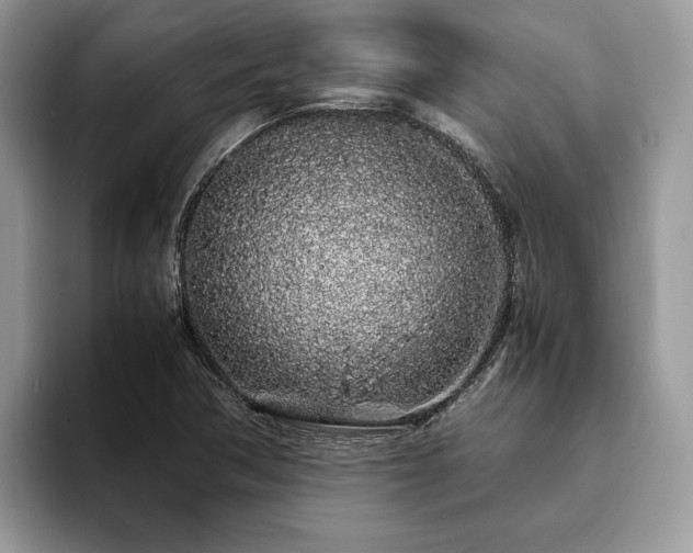 X0000094081362200710191414