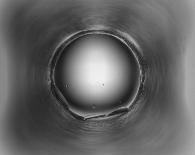 X0000094081364200710191414