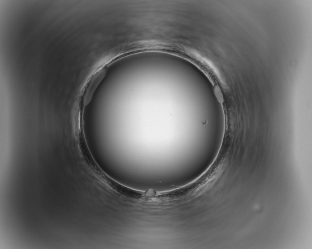 X0000094081365200710191414