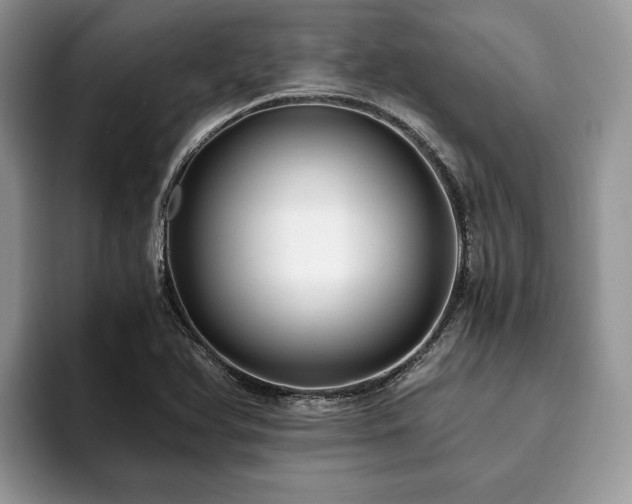 X0000094081366200710191414