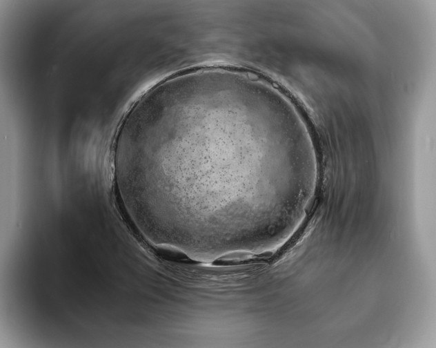 X0000094081367200710191414